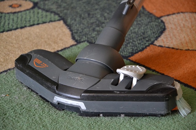 Rug Cleaning
