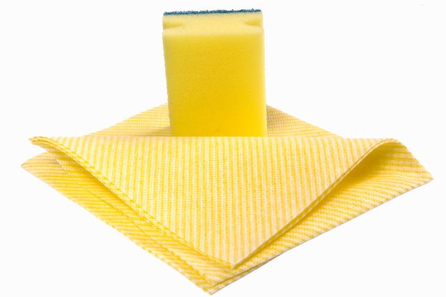 Surface Cleaner